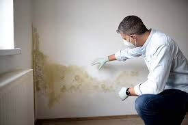 Best Mold Remediation for Healthcare Facilities  in Pepper Pike, OH